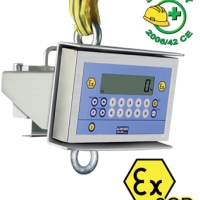 Dini Argeo MCWX2GD ATEX Crane Scale