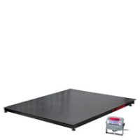 Pallet & Platform scales
