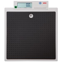Seca 875 Flat scale